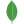 skill image